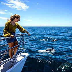 https://staging.nztour.co.nz/wp-content/uploads/auckland-hauraki-gulf-whale-watching.jpg