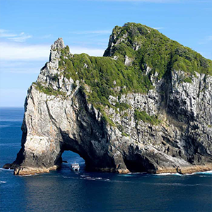 https://staging.nztour.co.nz/wp-content/uploads/boi-HoleInTheRockCruise-300x300-1.png